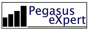 Pegasus Expert - Franchise